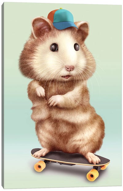 Hamster Skateboarding Canvas Art Print - Hamsters