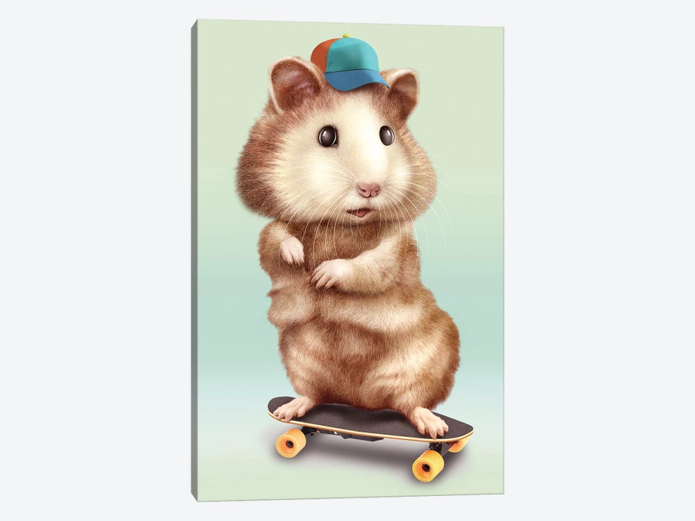 Hamster Skateboarding by Adam Lawless 1-piece Canvas Print