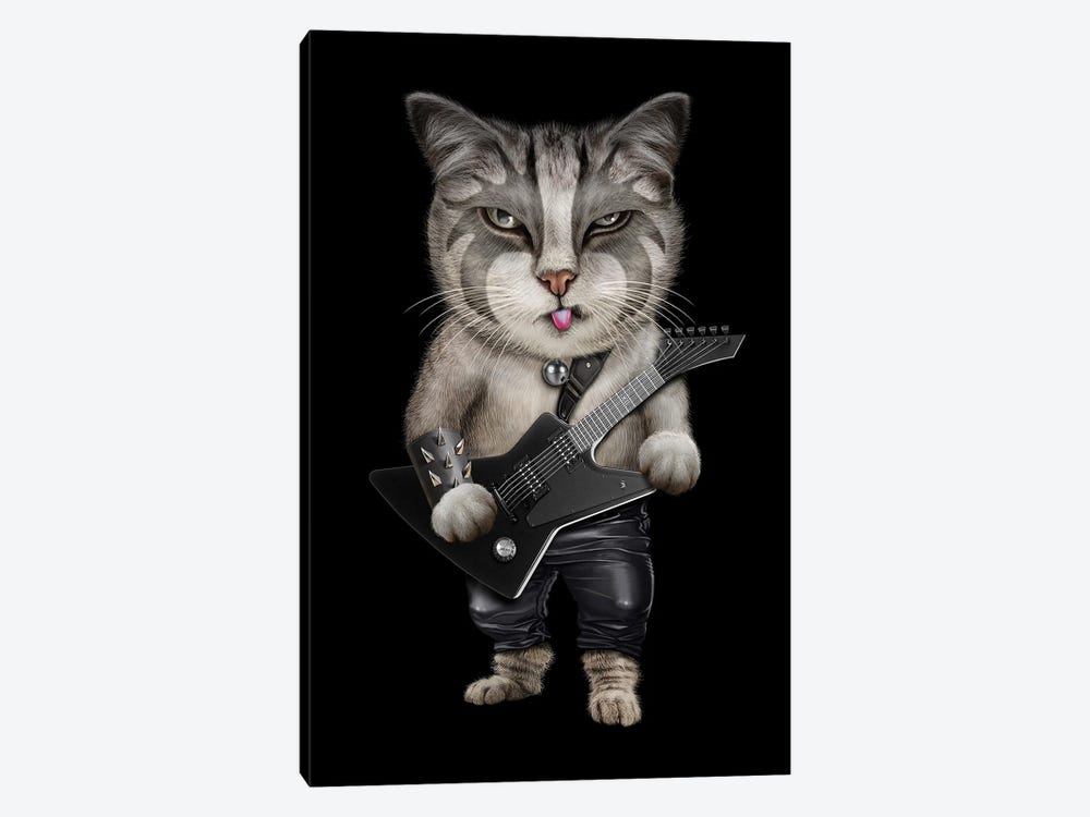 Loudwire on X: Most metal cat ever? @IronMaiden #IronMaiden #cats
