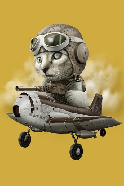 Kat67 by Adam Lawless framed canvas print