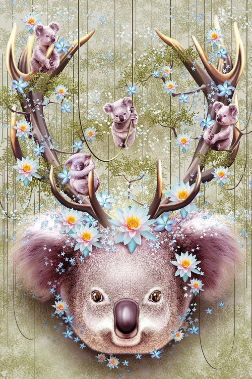 Koala by Adam Lawless wall art