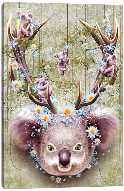 Koala Canvas Art Print - Adam Lawless