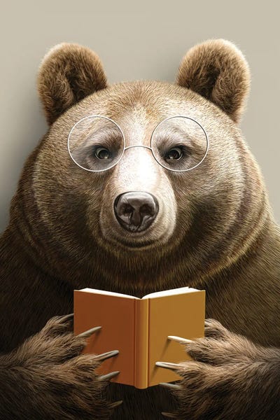 Books: Bear by Adam Lawless