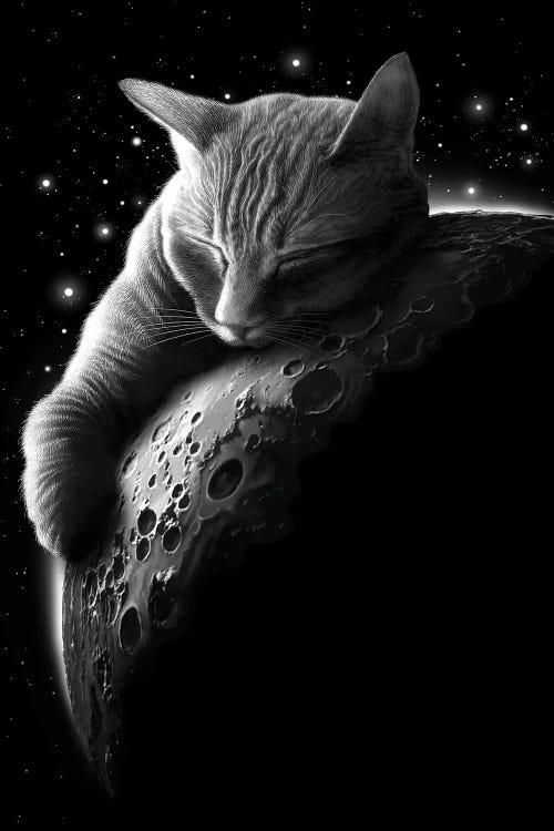 Mooncat