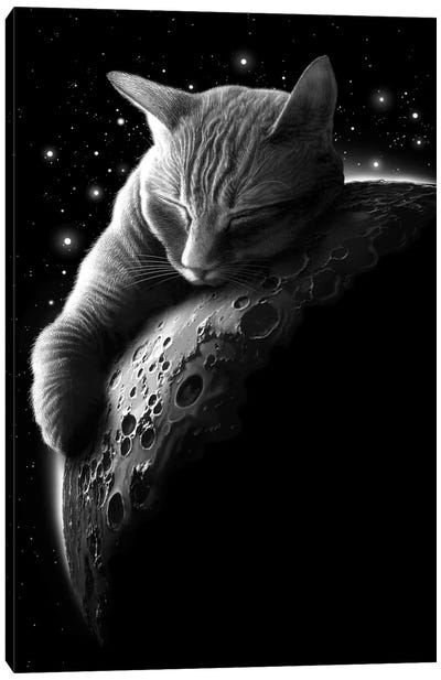 Mooncat Canvas Art Print - Adam Lawless