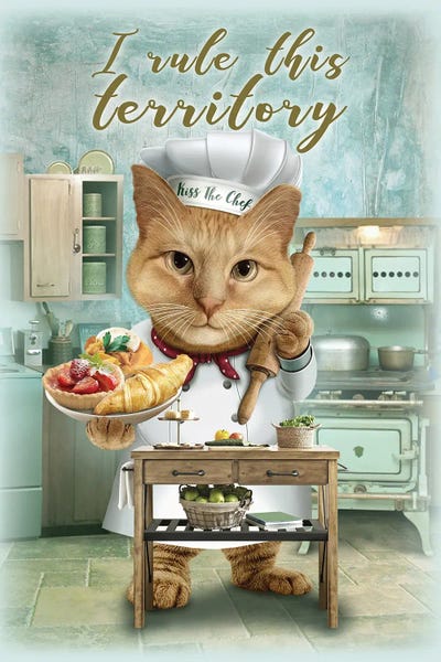 Cooking & Baking: My Territory by Adam Lawless