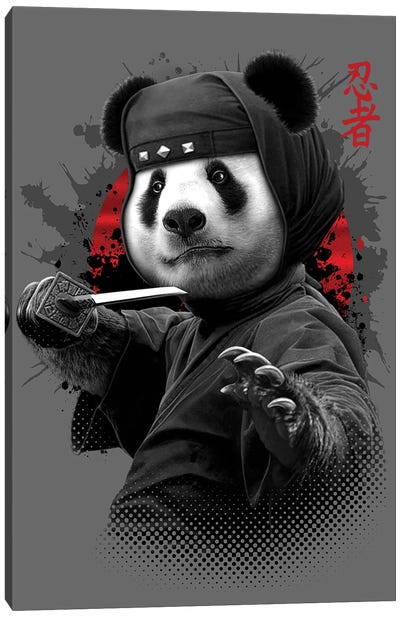 Ninja Panda Canvas Art Print - Warrior Art