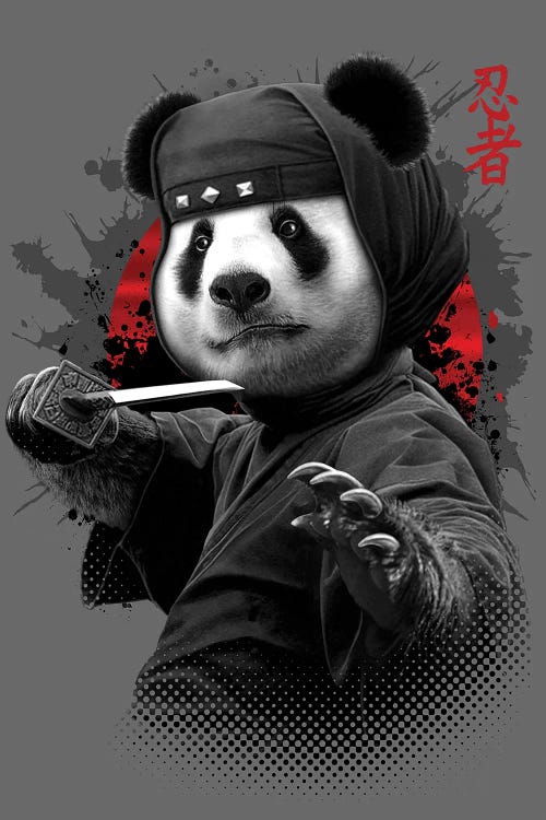 Ninja Panda by Adam Lawless wall art