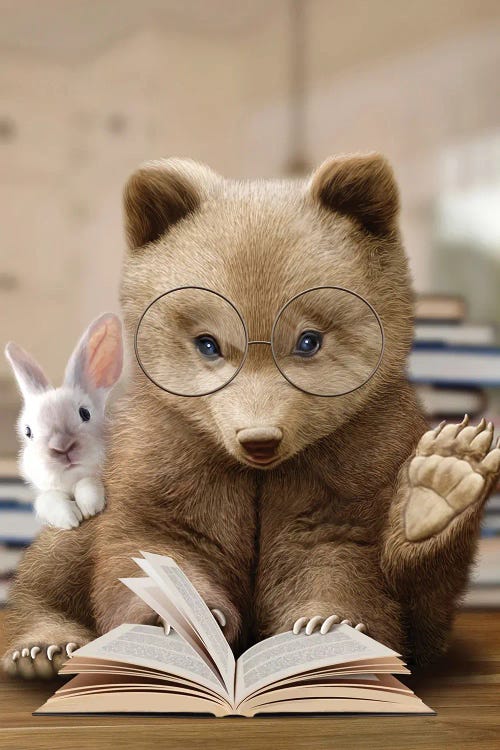 Bear Rabbit Book by Adam Lawless wall art