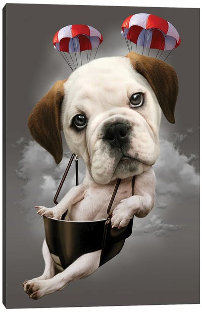 Parachute Dog Canvas Art Print - Adam Lawless