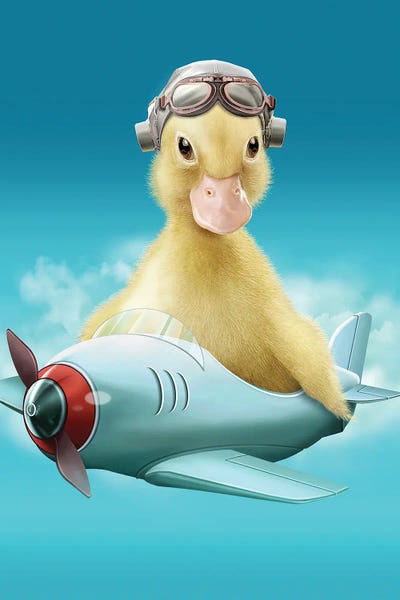 Pilot Duck by Adam Lawless canvas print