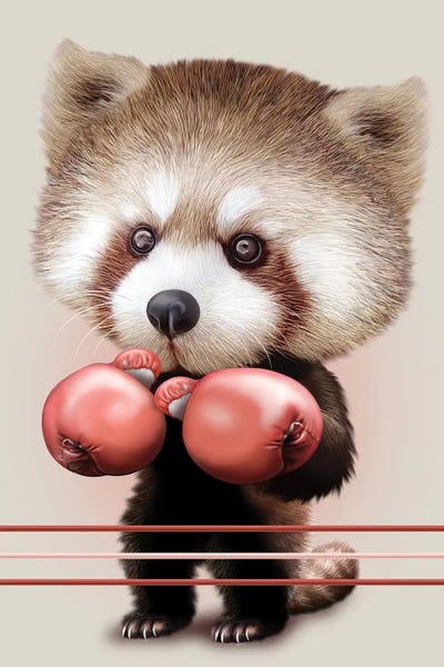 Red Panda Boxer by Adam Lawless art print