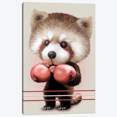 Red Panda Boxer Canvas Print #ADL81} by Adam Lawless Canvas Art