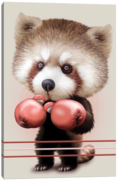 Red Panda Boxer Canvas Art Print - Red Panda