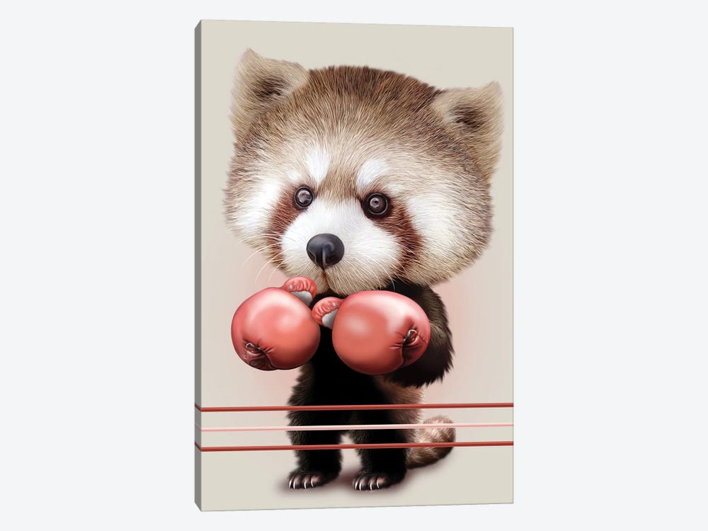 Red Panda Boxer by Adam Lawless 1-piece Canvas Art Print