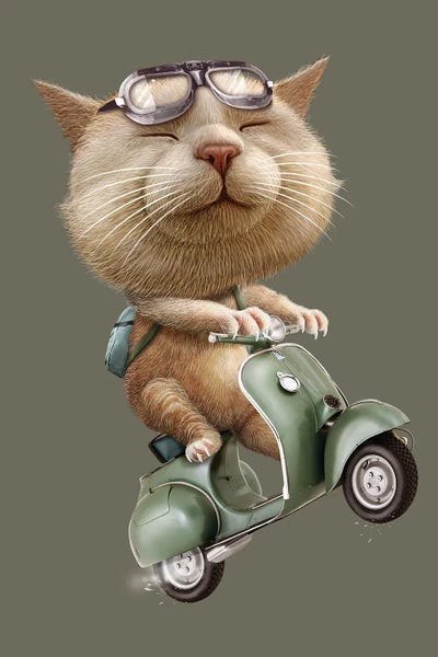 Runaway Cat by Adam Lawless framed canvas print