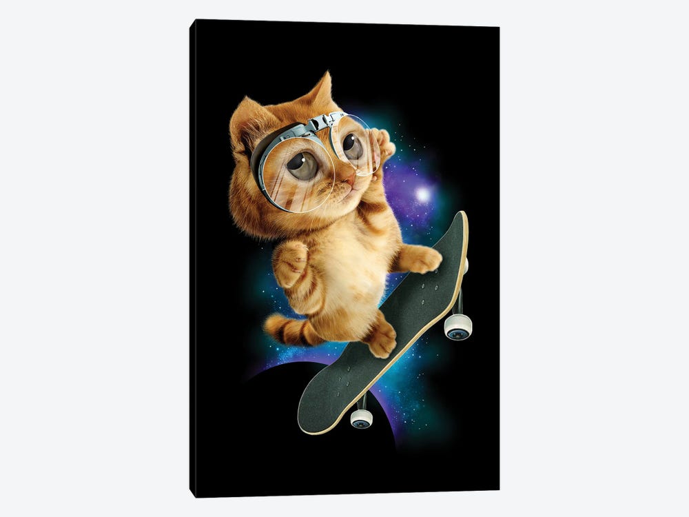 Skateboard Cat by Adam Lawless 1-piece Canvas Wall Art