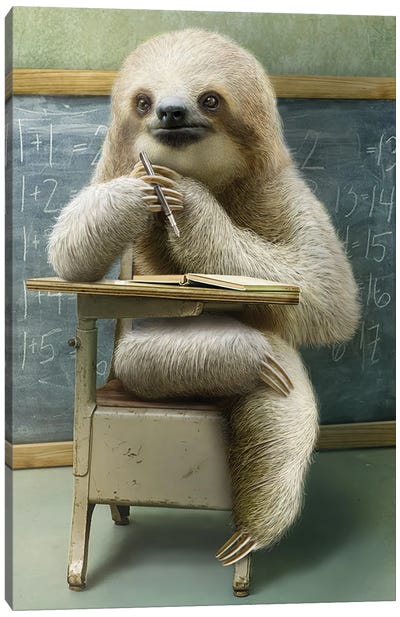 Sloth In Class Canvas Art Print - Sloth Art