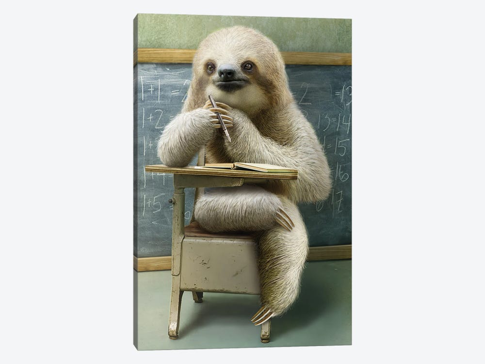 Sloth In Class by Adam Lawless 1-piece Canvas Art Print