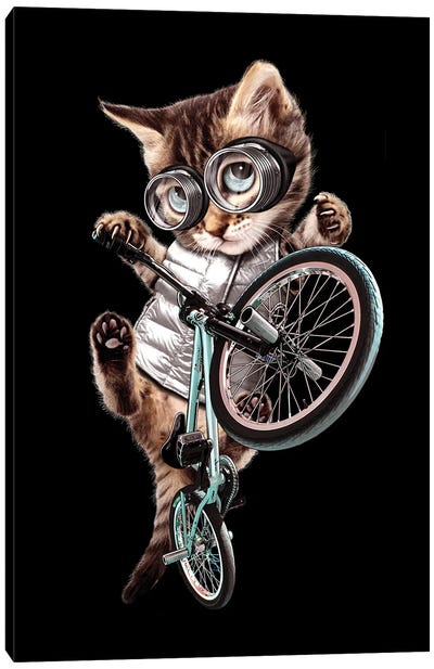 BMX Cat Canvas Art Print - Extreme Sports Art