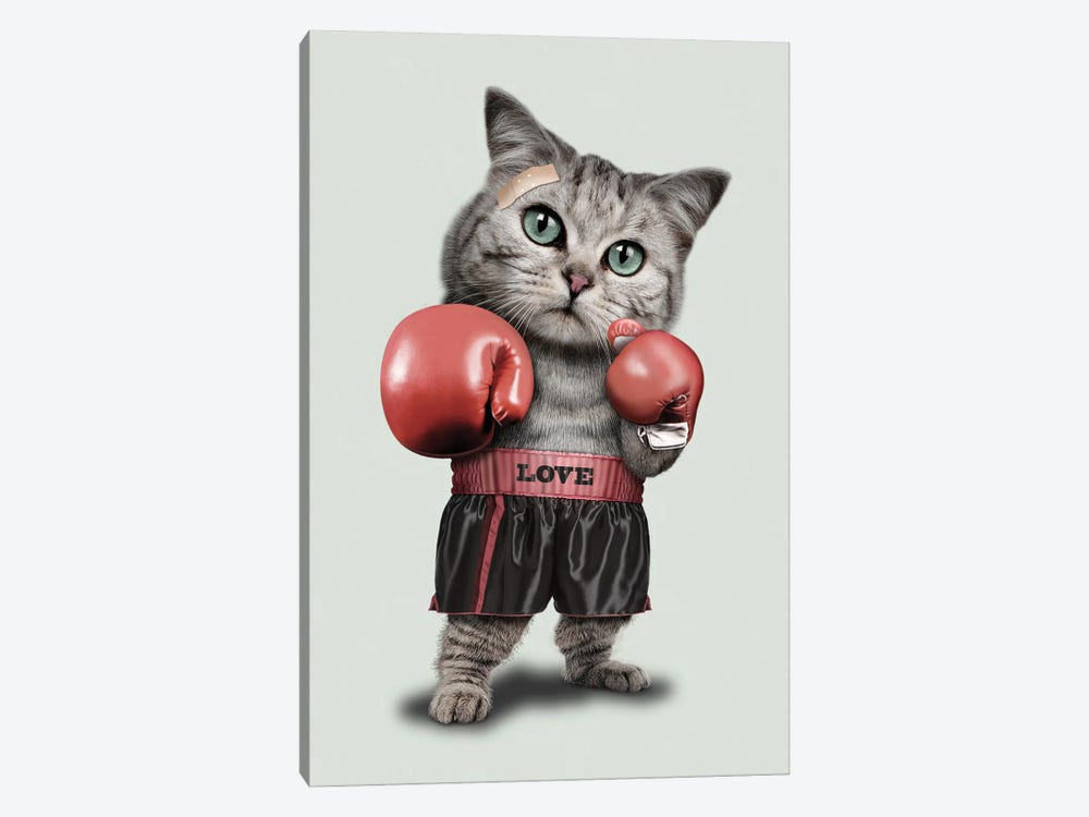 Boxing Cat by Adam Lawless 1-piece Art Print