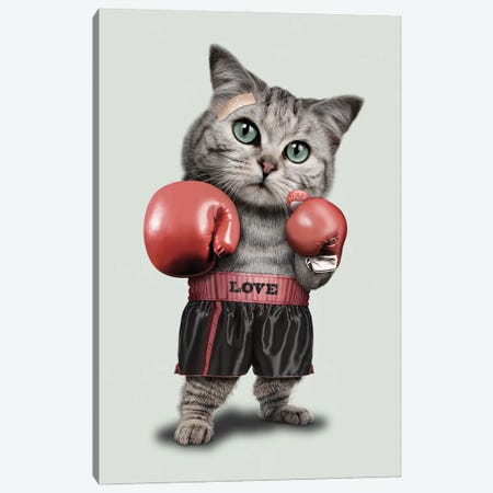 Boxing Cat Canvas Print #ADL9} by Adam Lawless Canvas Artwork