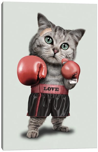 Boxing Cat Canvas Art Print - Adam Lawless