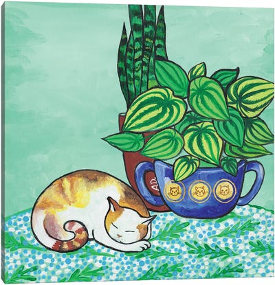 Sleeping Cat Canvas Art Print - Alexandra Dobreikin