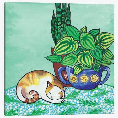 Sleeping Cat Canvas Print #ADN103} by Alexandra Dobreikin Canvas Artwork