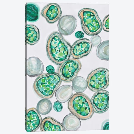 Green Gifts Canvas Print #ADN148} by Alexandra Dobreikin Canvas Wall Art