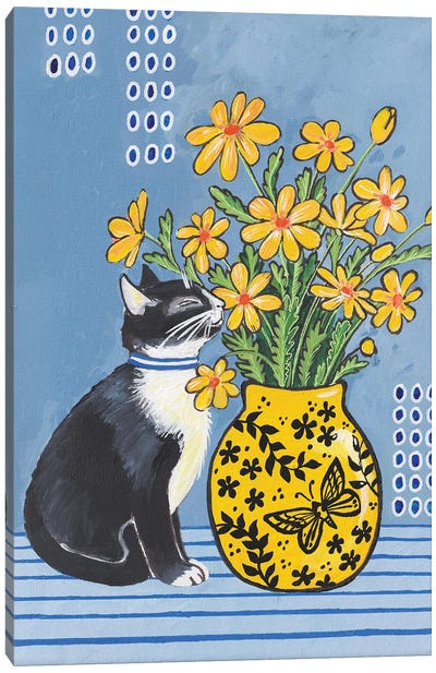 Sunny Cat Canvas Art Print - Alexandra Dobreikin