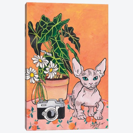 Bambino Cat On An Orange Background Canvas Print #ADN237} by Alexandra Dobreikin Art Print