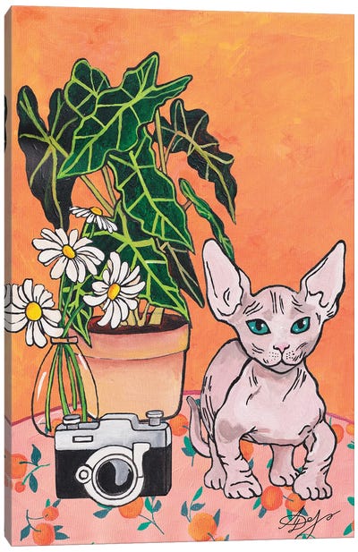 Bambino Cat On An Orange Background Canvas Art Print - Hairless Cats