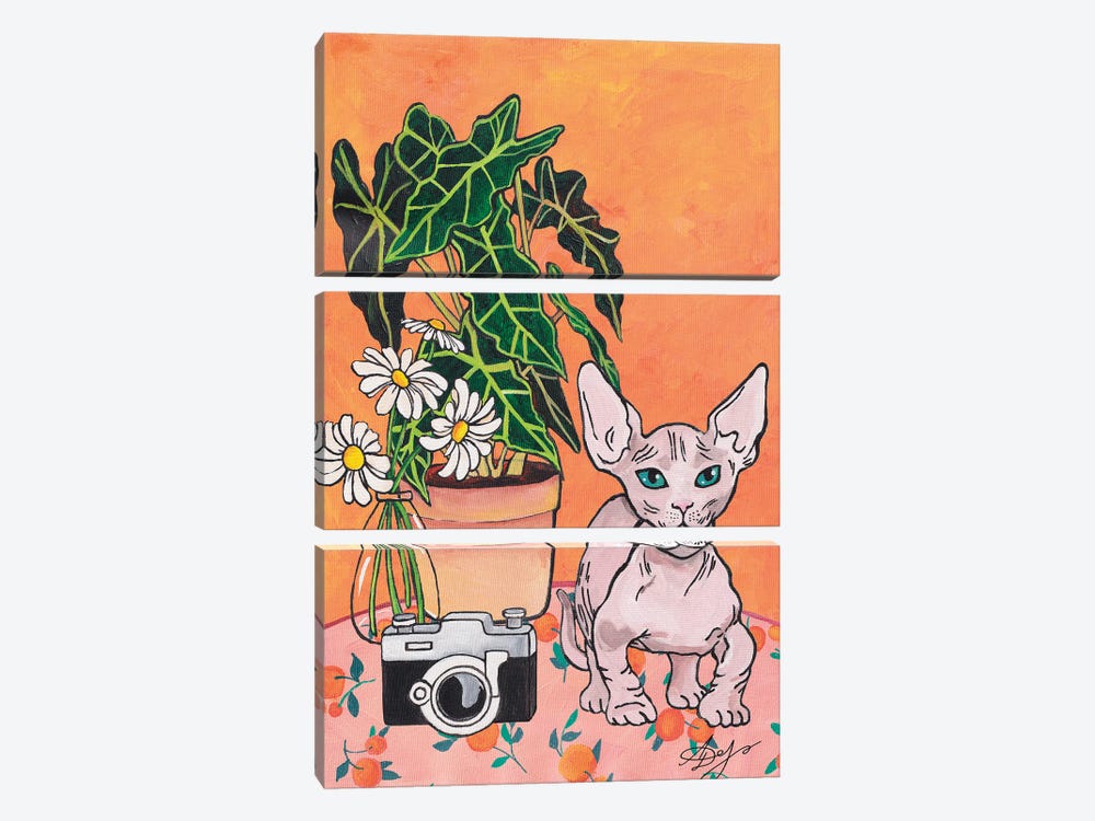 Bambino Cat On An Orange Background by Alexandra Dobreikin 3-piece Canvas Print