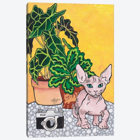 Bambino Cat Canvas Print #ADN239} by Alexandra Dobreikin Canvas Wall Art