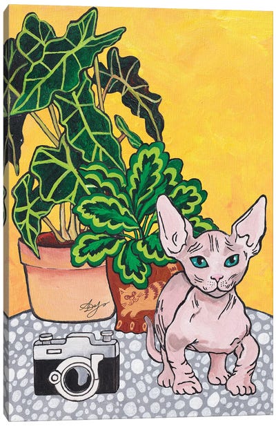 Bambino Cat Canvas Art Print - Hairless Cat Art