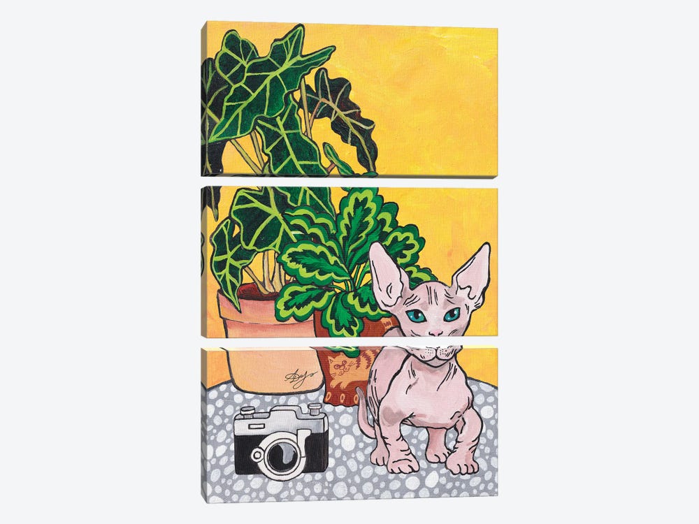 Bambino Cat by Alexandra Dobreikin 3-piece Art Print