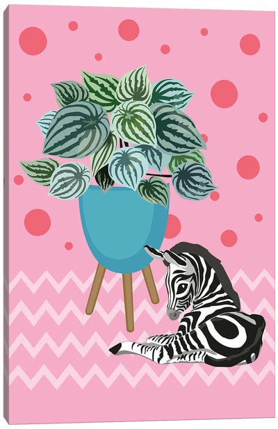 My Cute Zebra Canvas Art Print - Alexandra Dobreikin