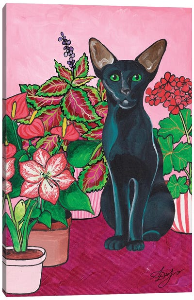 Oriental Cat On A Pink Background With Red Flowers. Canvas Art Print