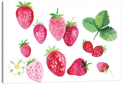 Strawberries Canvas Art Print - Alexandra Dobreikin