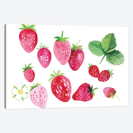 Strawberries Canvas Print #ADN83} by Alexandra Dobreikin Canvas Wall Art