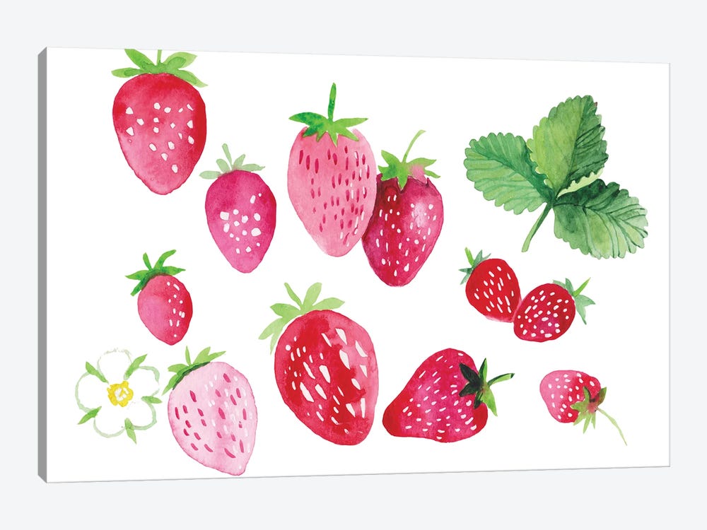 Strawberries by Alexandra Dobreikin 1-piece Canvas Artwork