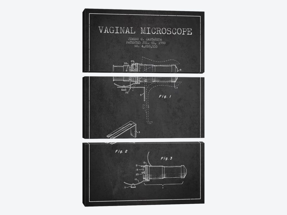 Vaginal Microscope Charcoal Patent Blueprint by Aged Pixel 3-piece Canvas Art Print