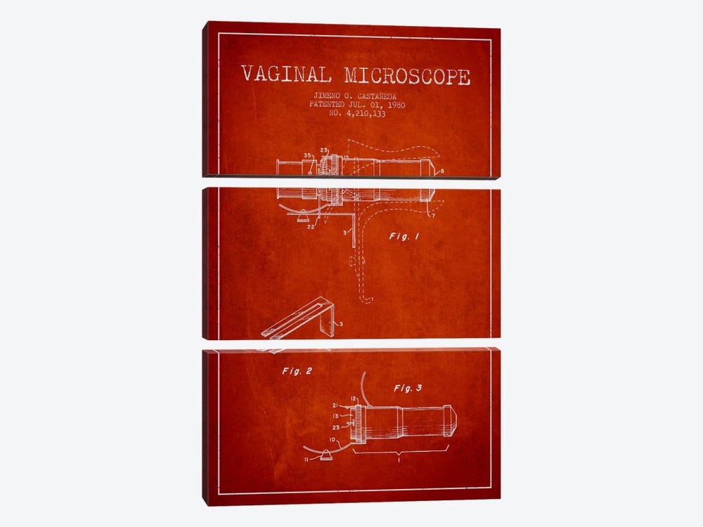 Vaginal Microscope Red Patent Blueprint by Aged Pixel 3-piece Canvas Artwork
