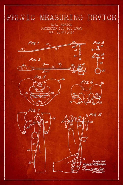 Pelvic Measuring Red Patent Blueprint