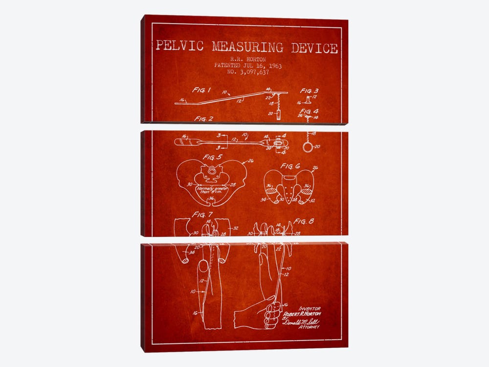 Pelvic Measuring Red Patent Blueprint by Aged Pixel 3-piece Canvas Art
