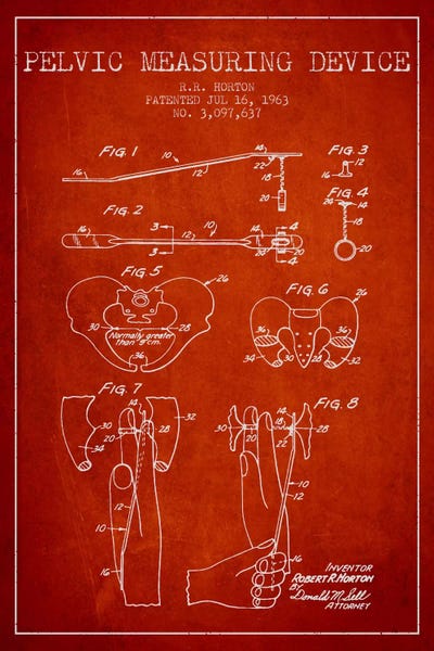 Medical & Dental Blueprints: Pelvic Measuring Red Patent Blueprint by Aged Pixel