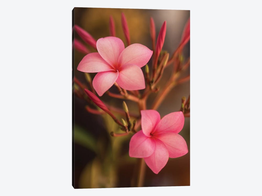 Pink Flowers by Aged Pixel 1-piece Canvas Art