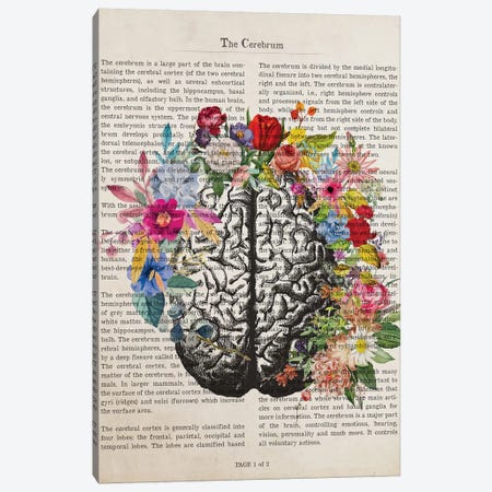 The Cerebrum Canvas Print #ADP3216} by Aged Pixel Canvas Art Print