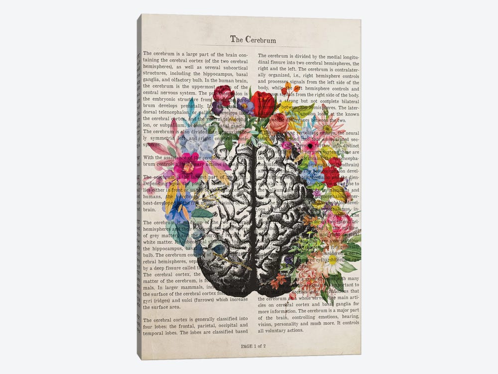 The Cerebrum by Aged Pixel 1-piece Canvas Art
